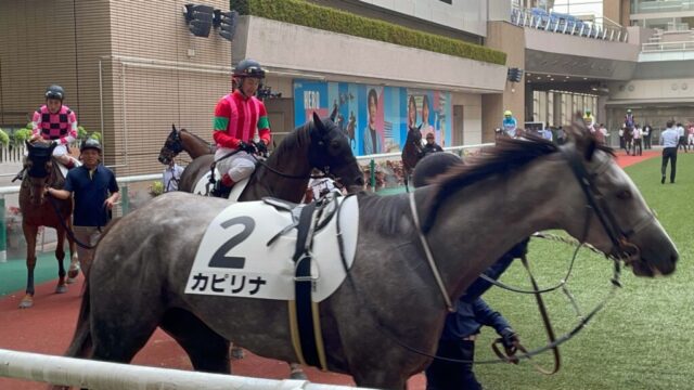 パドック 12R（福島競馬場）