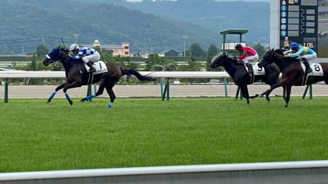 第１２Ｒ　3歳以上1勝クラス　1,200メートル（芝）→「直線」③