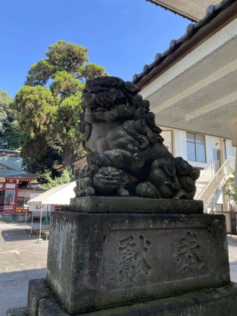 狛犬（日枝神社）