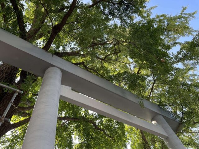 鳥居②（波除神社）