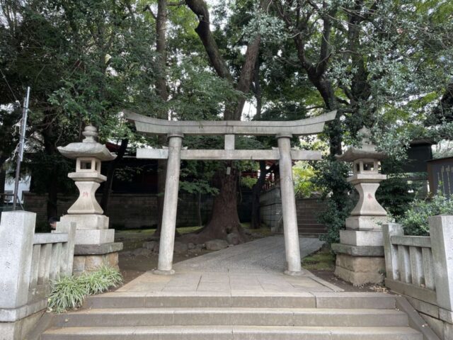 鳥居（金王八幡宮）