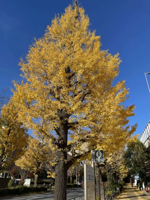 千駄ヶ谷駅前②