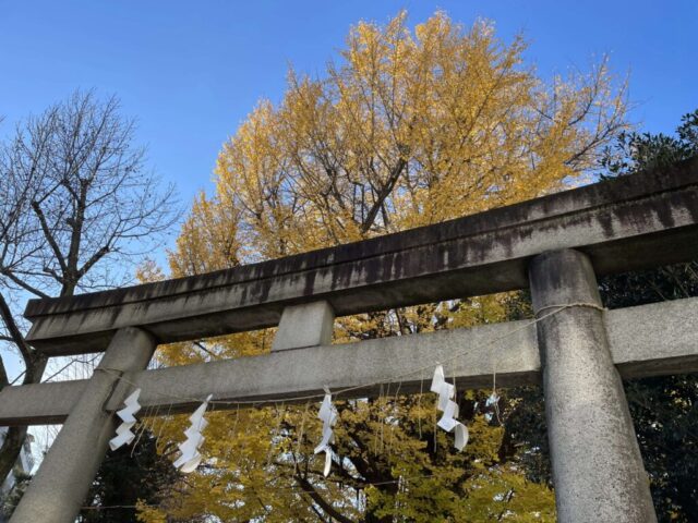 大鳥居②（鳩森八幡神社）