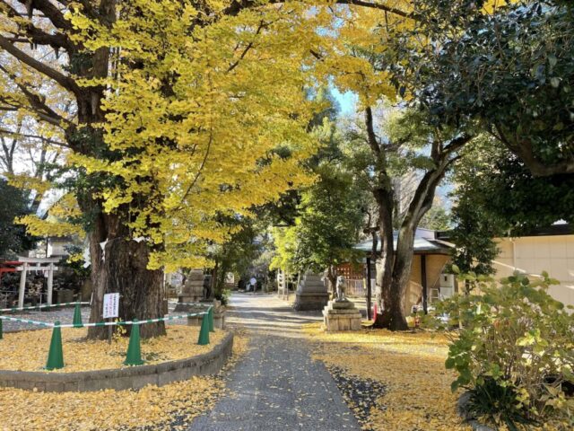 大鳥居→参道（鳩森八幡神社）