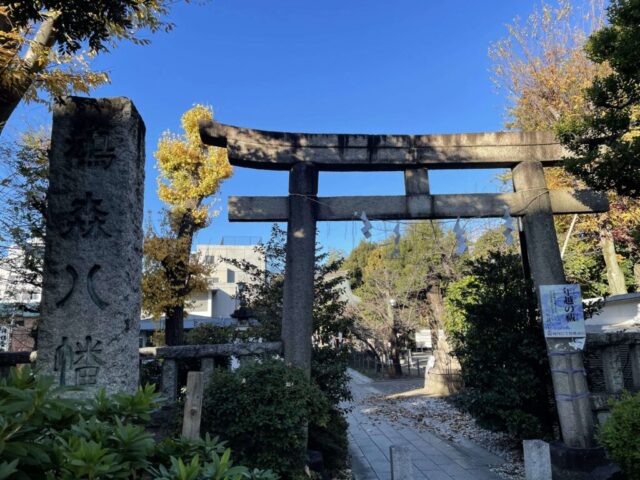 正面鳥居（鳩森八幡神社）