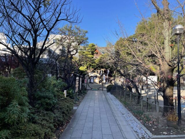 正面鳥居→「拝殿」（鳩森八幡神社）