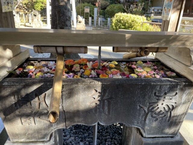 手水舎②（鳩森八幡神社）