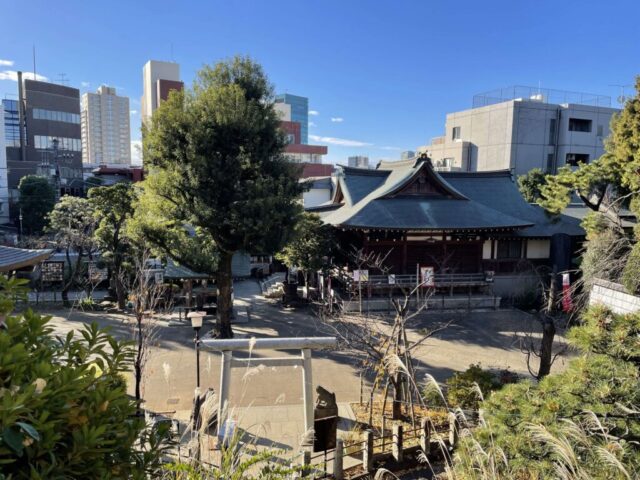 冨士塚山頂→「拝殿」（鳩森八幡神社）