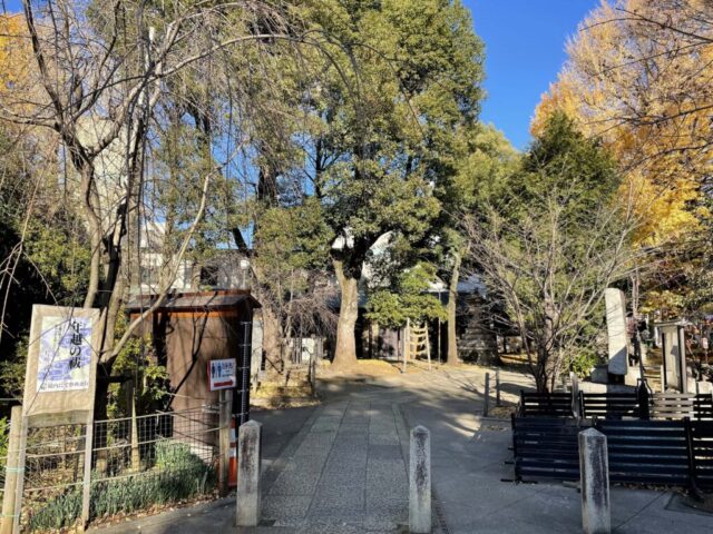 拝殿→「裏参道」（鳩森八幡神社）