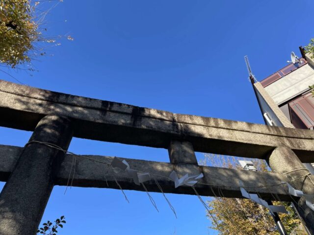 正面鳥居③（鳩森八幡神社）