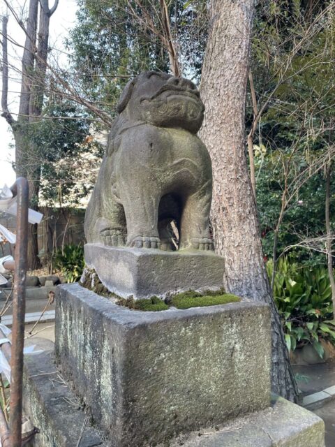 狛犬②（御田八幡神社）