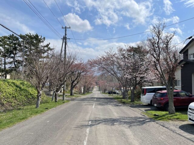 第一鳥居 後（岩内神社）