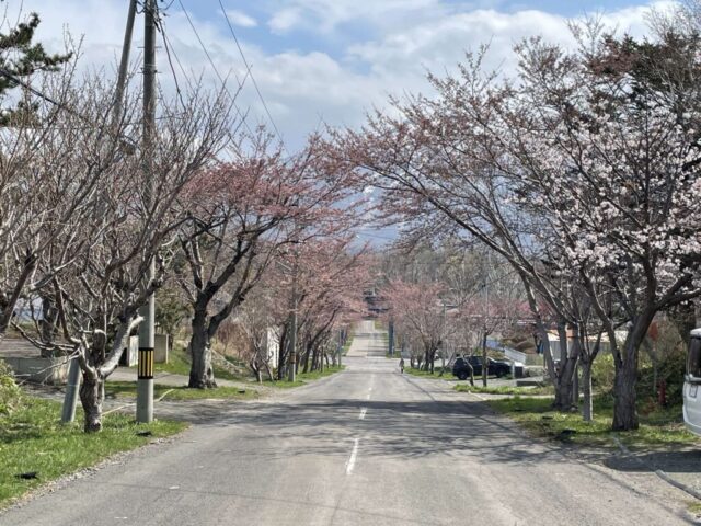 第一鳥居 後②（岩内神社）