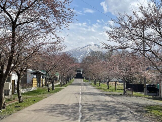第二鳥居 後（岩内神社）