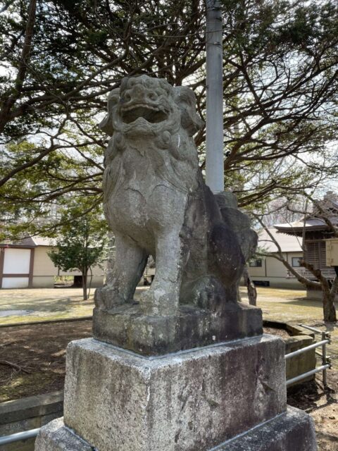 狛犬②（岩内神社）