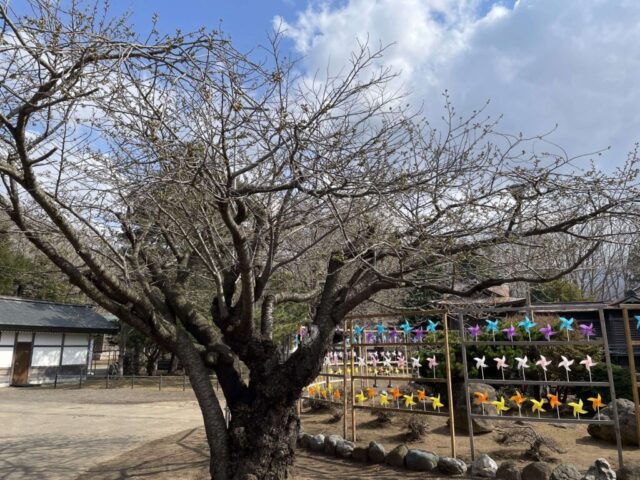 社務所②（岩内神社）