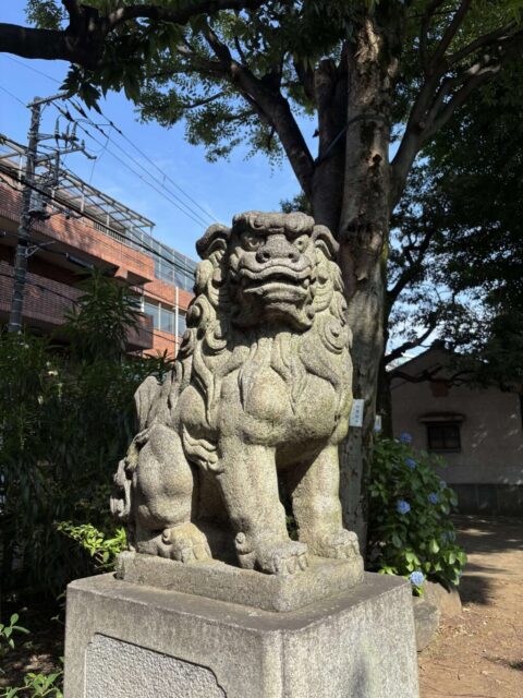 狛犬(北野神社)