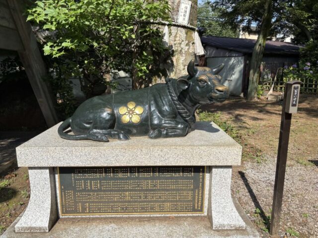 撫で牛(北野神社)