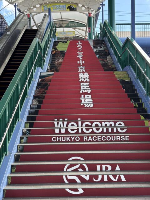 ようこそ中京競馬場