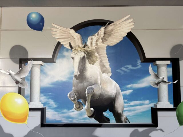 トリックアート!?(中京競馬場)