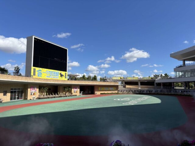 パドック(中京競馬場)