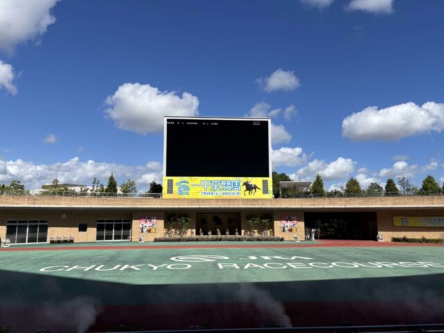 パドック正面(中京競馬場)