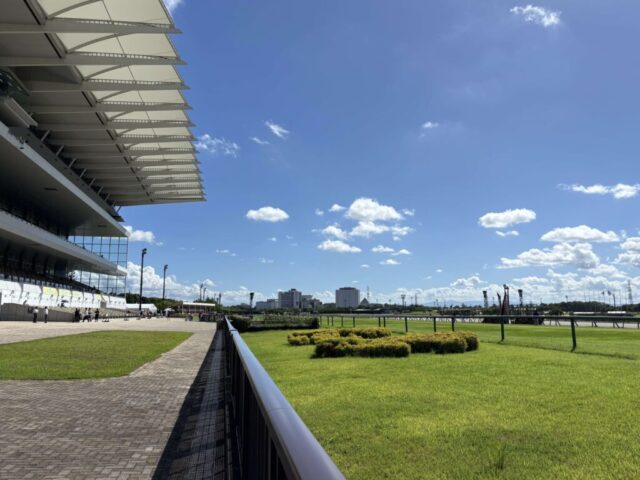 芝コース(中京競馬場)