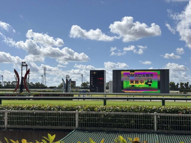 ターフビジョン(中京競馬場)