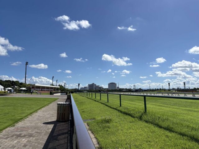 芝コース②(中京競馬場)