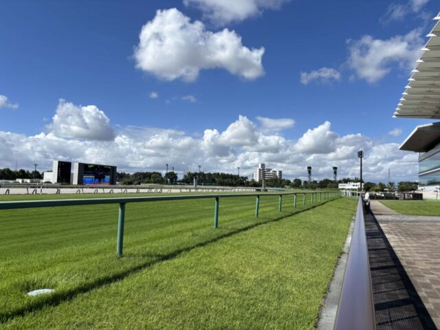 芝コース③(中京競馬場)