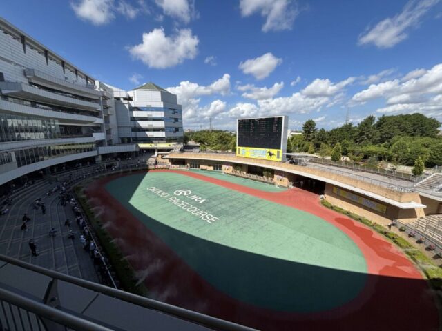 4階→「パドック」(中京競馬場)