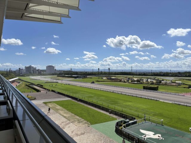 指定席B→「左側」(中京競馬場)