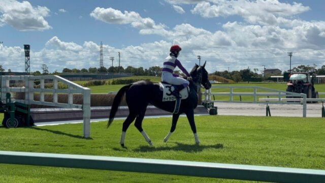 本馬場入場 1R(中京競馬場)
