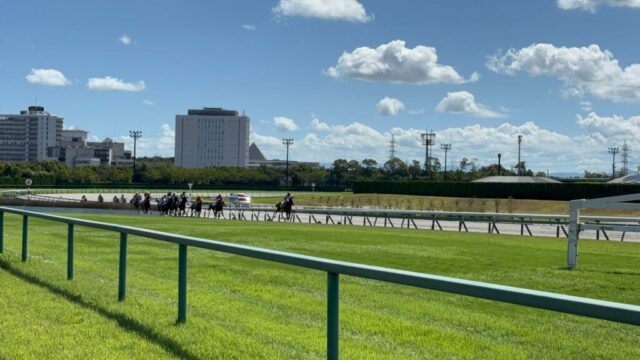 第1R 障害3歳以上未勝利 3,000メートル(芝)→「直線」