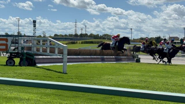 第1R 障害3歳以上未勝利 3,000メートル(芝)→「障害」