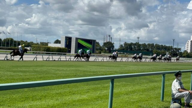 第1R 障害3歳以上未勝利 3,000メートル(芝)→「直線」②