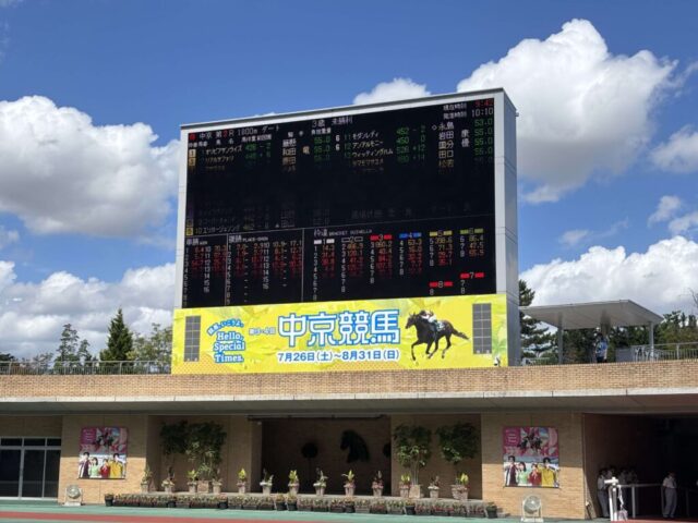 パドック 2R(中京競馬場)