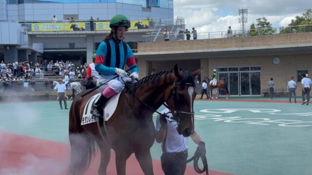 パドック 2R③(中京競馬場)