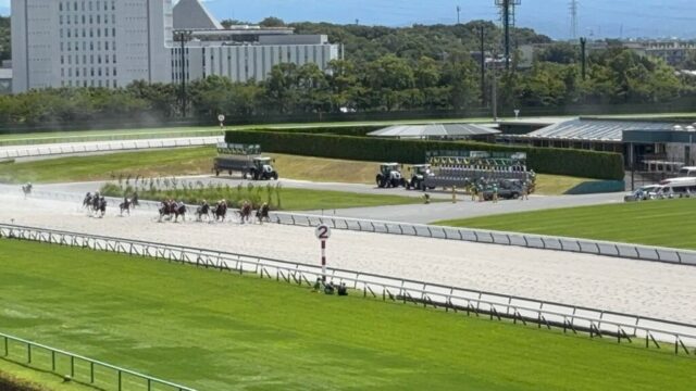 第2R 3歳未勝利 1,800メートル(ダート)→「直線」