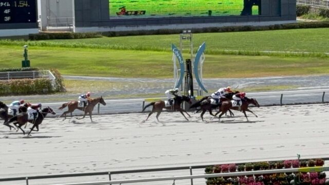 第2R 3歳未勝利 1,800メートル(ダート)→「ゴール」