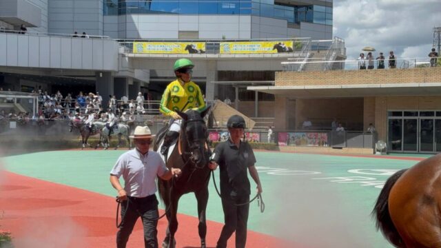 パドック 3R(中京競馬場)