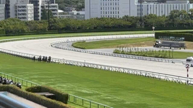 第3R 2歳未勝利 1,600メートル(芝)→「直線」