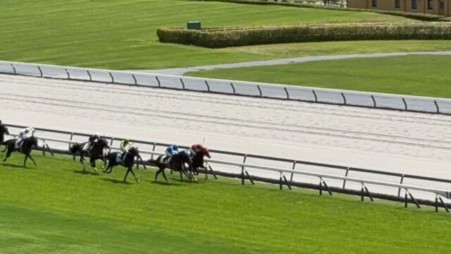 第3R 2歳未勝利 1,600メートル(芝)→「直線」②