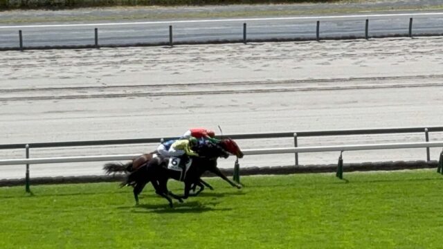 第3R 2歳未勝利 1,600メートル(芝)→「ゴール前」