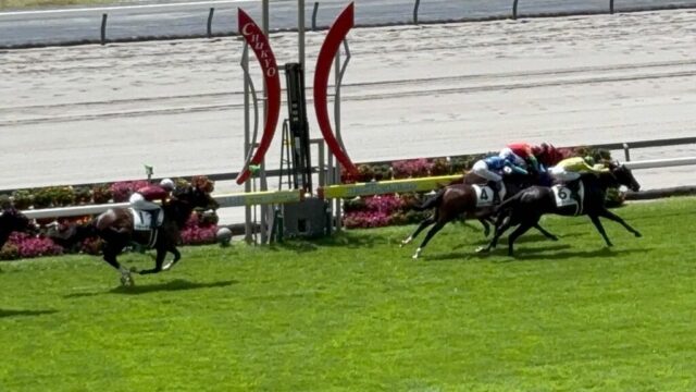 第3R 2歳未勝利 1,600メートル(芝)→「ゴール」