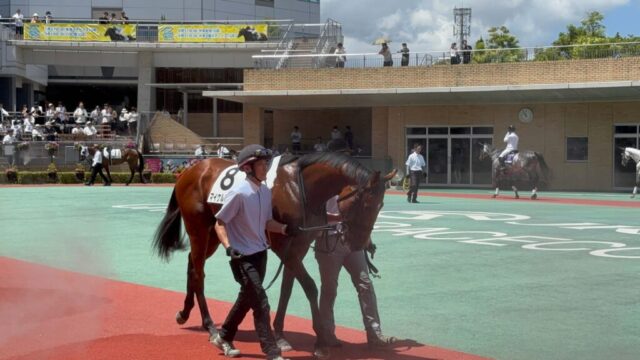 パドック 4R②(中京競馬場)