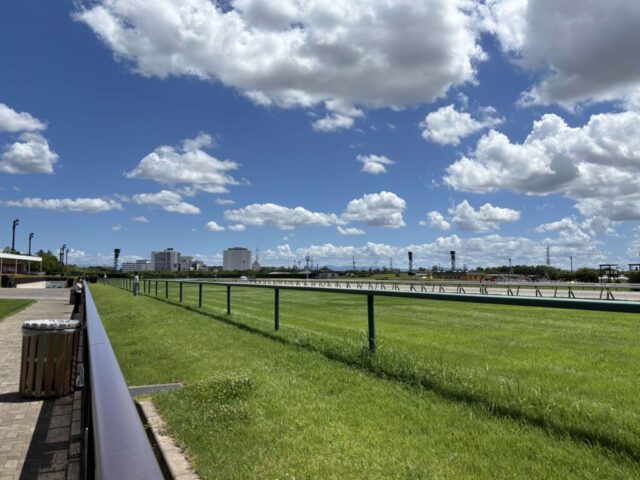 本馬場入場 4R(中京競馬場)