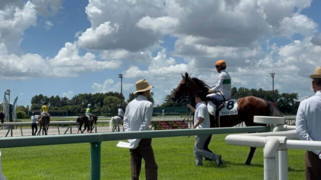 本馬場入場 4R②(中京競馬場)
