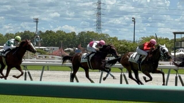 第4R 2歳未勝利メイクデビュー中京 1,400メートル(芝)→「ゴール前」