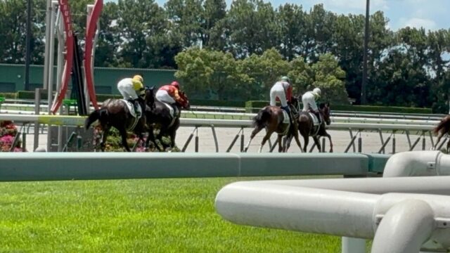 第4R 2歳未勝利メイクデビュー中京 1,400メートル(芝)→「ゴール」